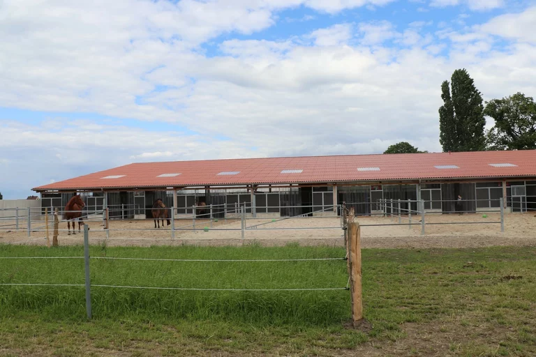 Außenansicht der Paddockboxen