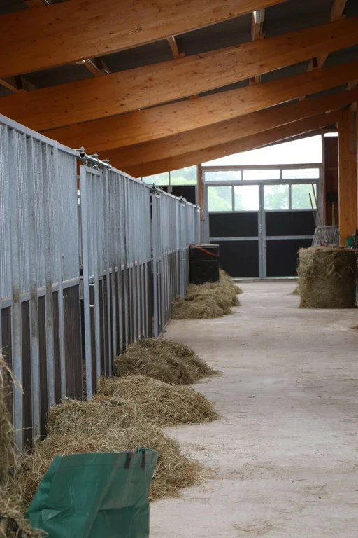 Innenansichtn der Paddockboxen mit Heu