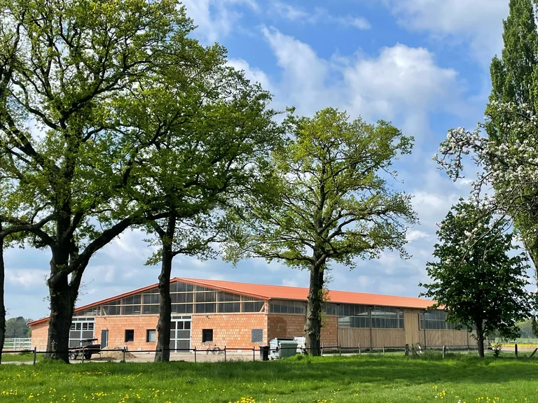 Außenansicht des Pferdestalls mit Paddockboxen bei Sonnenschein