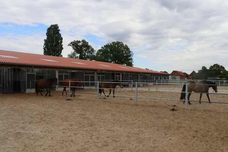 Außenansicht der Paddockboxen