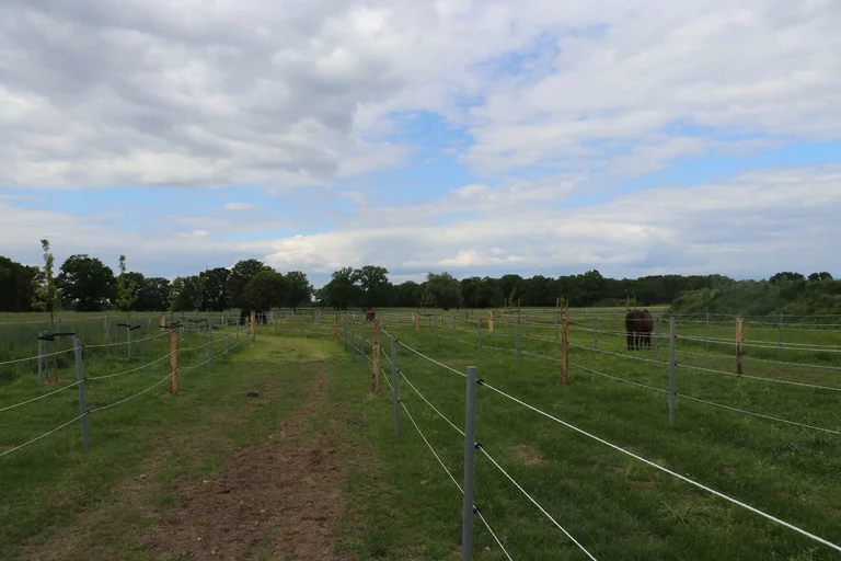Außenansicht der Weide mit Zäunen